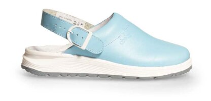 Clogs