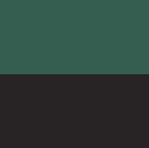 gr&uuml;n/schwarz